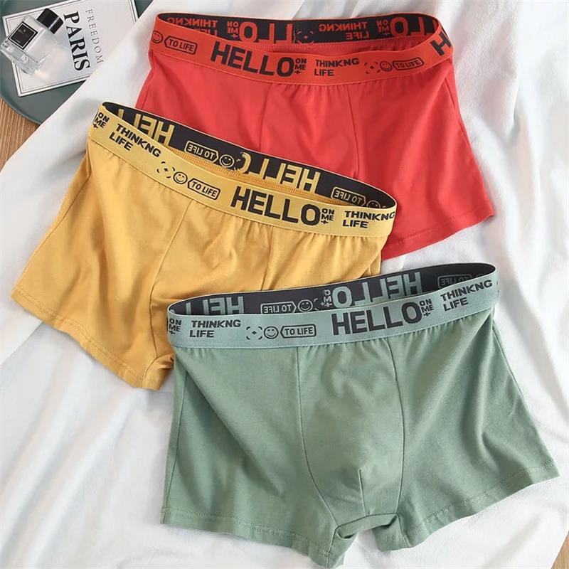10Pieces/ Men's Underwear Men  - Boxer Brief Pack Cotton recensie en prijs