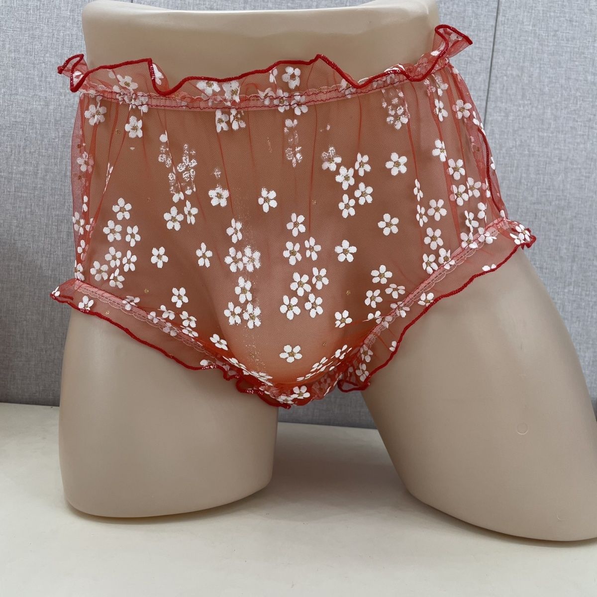 Mesh Men's Briefs Front Widene - Pouch Boxer Pouch recensie en prijs