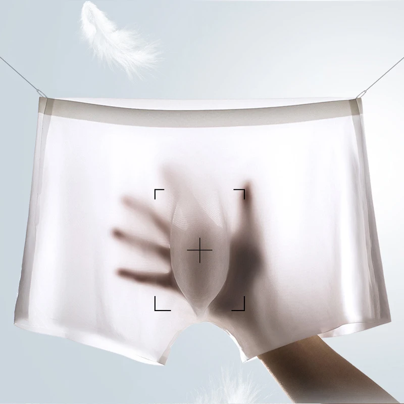 10 Pcs/Lot Men's Summer Ice Si - Multi Pack Underwear recensie en prijs
