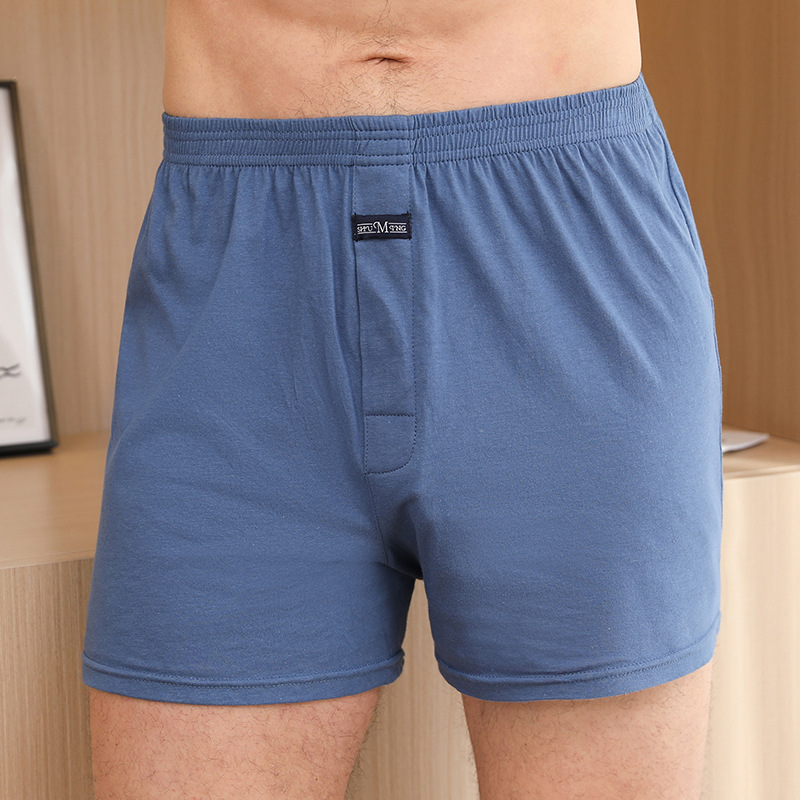 1PCS Men's Underwear Aro Pants - Boxer Brief Pack Cotton recensie en prijs