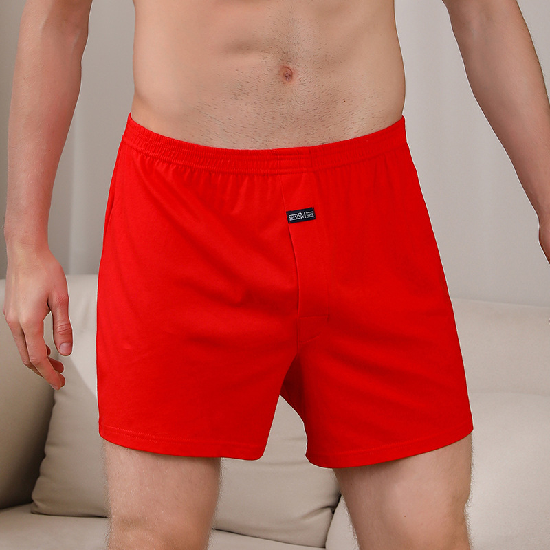 1PCS Men's Underwear Aro Pants - Boxer Brief Pack Cotton recensie en prijs