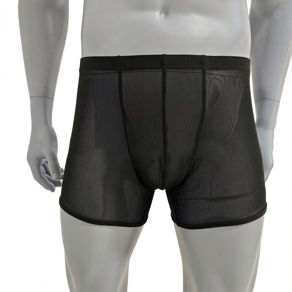 Men Mesh See-through Ultra-thi - Long Leg Trunk Men recensie en prijs