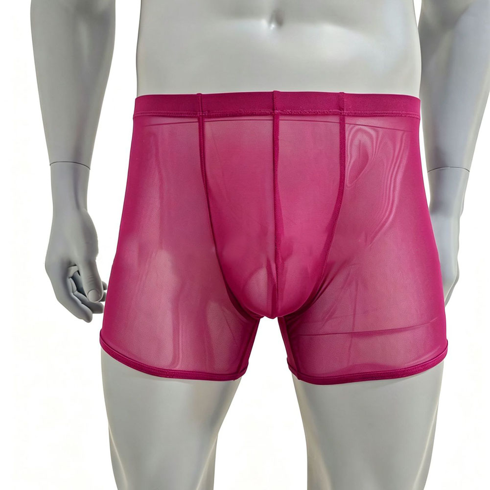 Men Mesh See-through Ultra-thi - Long Leg Trunk Men recensie en prijs