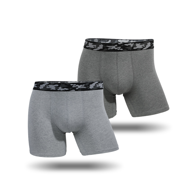 Plus-size men's underpants ant - Boxer Brief Pack Cotton recensie en prijs
