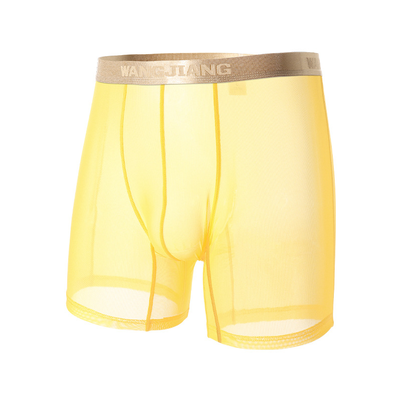 Wangjiang Men's Mesh Boxer Sho - Mesh Sport Boxer recensie en prijs