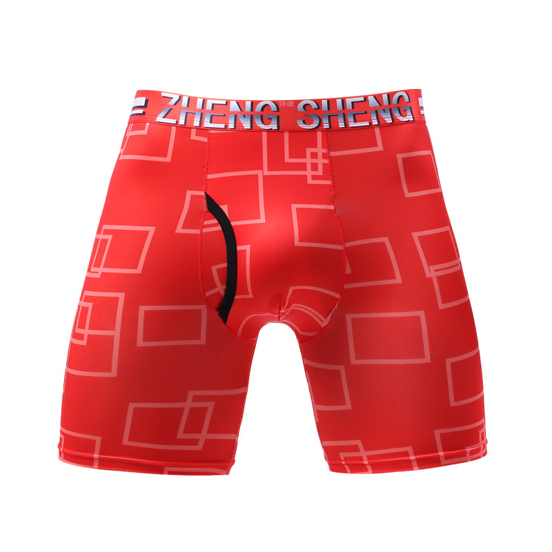 Mens Underwear Boxers Shorts H - Long Leg Trunk Men recensie en prijs