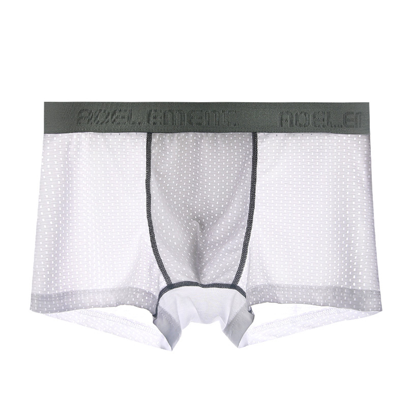 Men's underwear Men's boxers s - Mesh Sport Boxer recensie en prijs